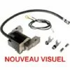 Bobine Allumage Briggs Et Stratton