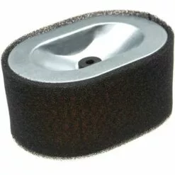 Vhbw Filtre (1x Préfiltre, 1x Filtre à Air) Compatible Avec Agria 3400 D, 3400 KL D, 5900 Bison Motoculteur