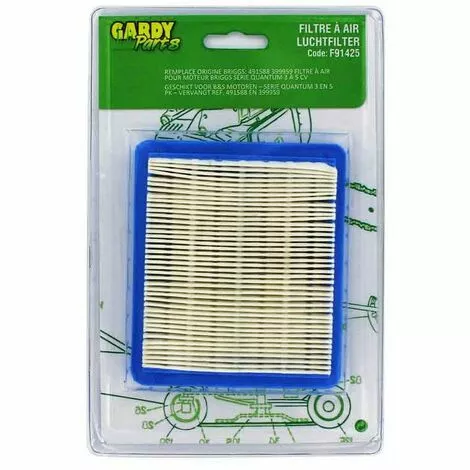 AUTRES Filtre Briggs Pour Moteur Quantum (remplace : 491588) 3 AUTRES Filtre Briggs Pour Moteur Quantum (remplace : 491588)