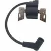 DONTODENT Bobine D'allumage Pour Briggs & Stratton 798534 799582 5938 72 1 DONTODENT Bobine D'allumage Pour Briggs & Stratton 798534 799582 5938 72 -Tondeuse Et Accessoires Boutique 64104117 1