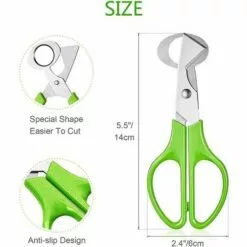 THSINDE Lot De 4 Ciseaux à œufs De Caille, Ciseaux à œufs De Caille En Acier Inoxydable, Petits Ciseaux à œufs De Caille 8 THSINDE Lot De 4 Ciseaux à œufs De Caille, Ciseaux à œufs De Caille En Acier Inoxydable, Petits Ciseaux à œufs De Caille -Tondeuse Et Accessoires Boutique 67503636 2