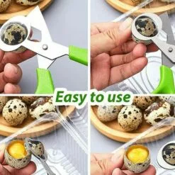 THSINDE Lot De 4 Ciseaux à œufs De Caille, Ciseaux à œufs De Caille En Acier Inoxydable, Petits Ciseaux à œufs De Caille 9 THSINDE Lot De 4 Ciseaux à œufs De Caille, Ciseaux à œufs De Caille En Acier Inoxydable, Petits Ciseaux à œufs De Caille -Tondeuse Et Accessoires Boutique 67503636 3